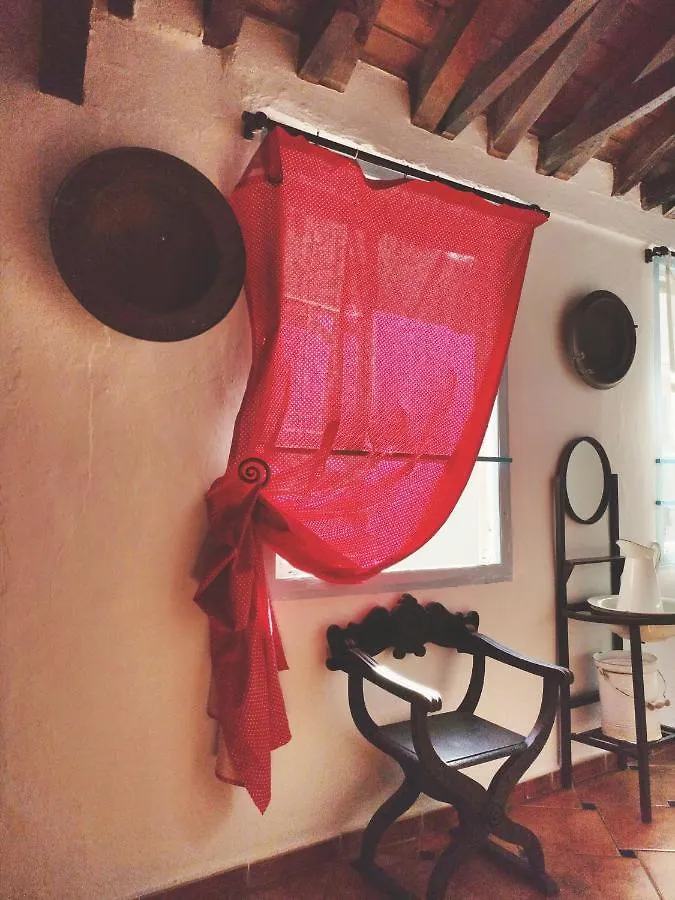 Bed & Breakfast Hostel Patio 19 Málaga